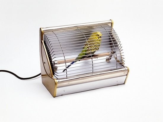 creative-photo-manipulation-nancy-fouts